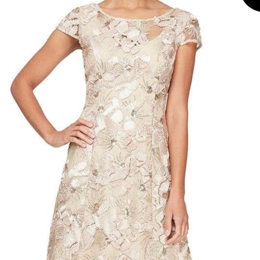 Elegant Women's Dress